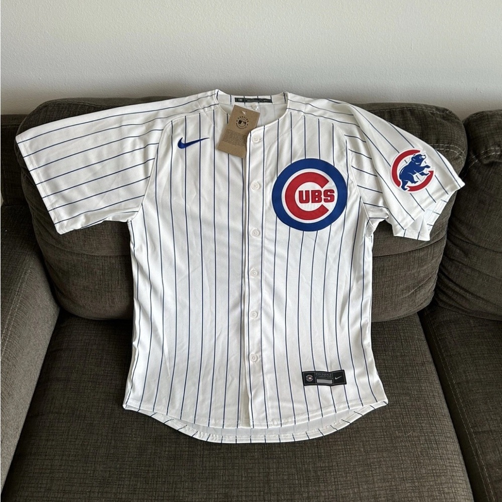 Nike Authentic Pinstripe Chicago Cubs Kyle Tucker #30 MLB Jersey Men’s Sz M - Picture 2 of 8